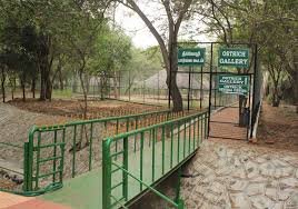 Aringar Anna Zoological Park, Vandalur