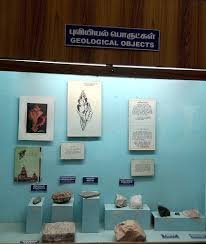 Govt. Museum