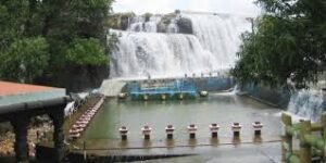 Thiruparappu Water Falls