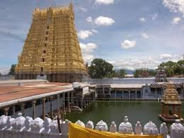 Arulmigu Sankaranarayana Swamy Thirukkoil, Sankarankovil