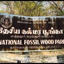 NATIONAL FOSSIL WOOD PARK, SATTANUR