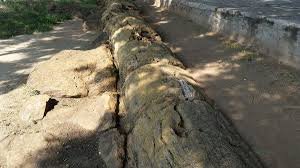 NATIONAL FOSSIL WOOD PARK, SATTANUR