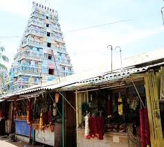 Punnai Nallur Mariamman Temple