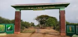 Vettangudi Bird Sanctuary Sivagangai