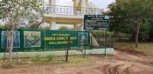 Vettangudi Bird Sanctuary Sivagangai